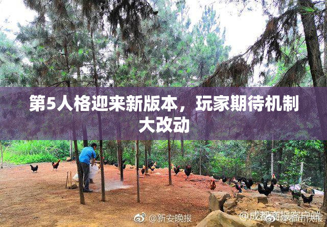 第5人格迎来新版本，玩家期待机制大改动