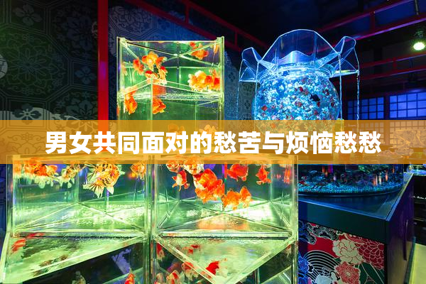 男女共同面对的愁苦与烦恼愁愁