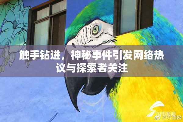 触手钻进，神秘事件引发网络热议与探索者关注