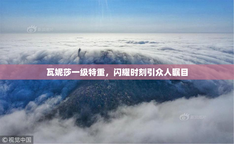 瓦妮莎一级特重，闪耀时刻引众人瞩目