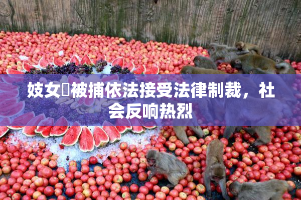妓女梱被捕依法接受法律制裁，社会反响热烈