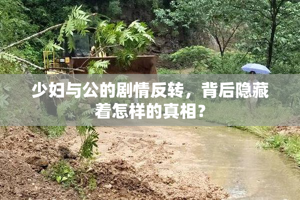少妇与公的剧情反转，背后隐藏着怎样的真相？