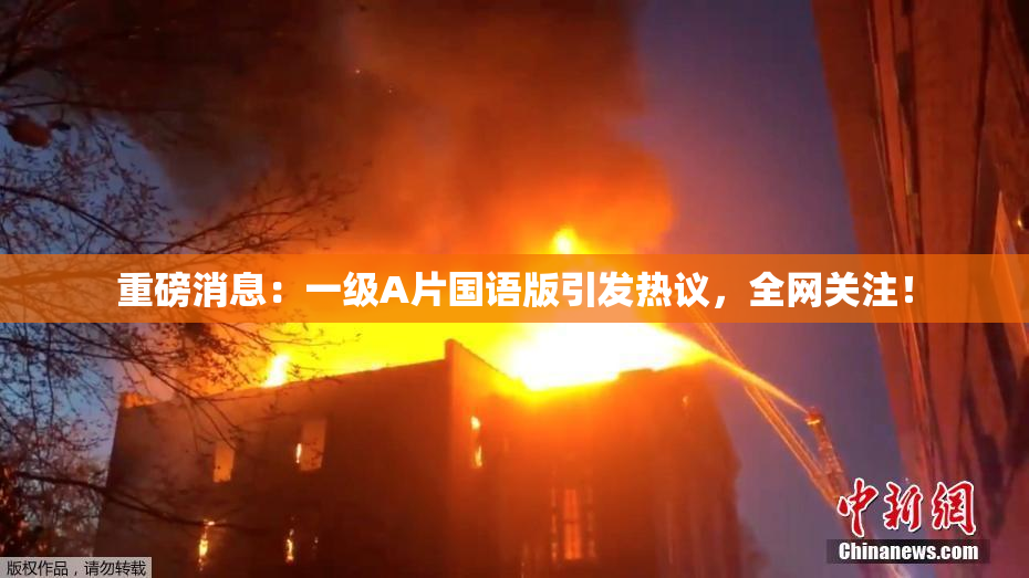 重磅消息：一级A片国语版引发热议，全网关注！