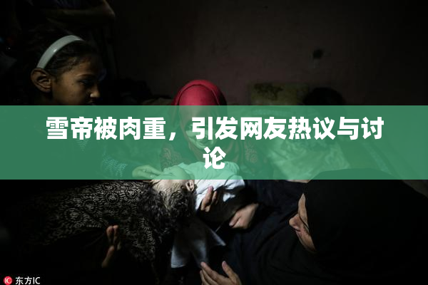 雪帝被肉重，引发网友热议与讨论