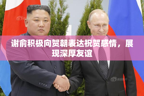 谢俞积极向贺朝表达祝贺感情，展现深厚友谊