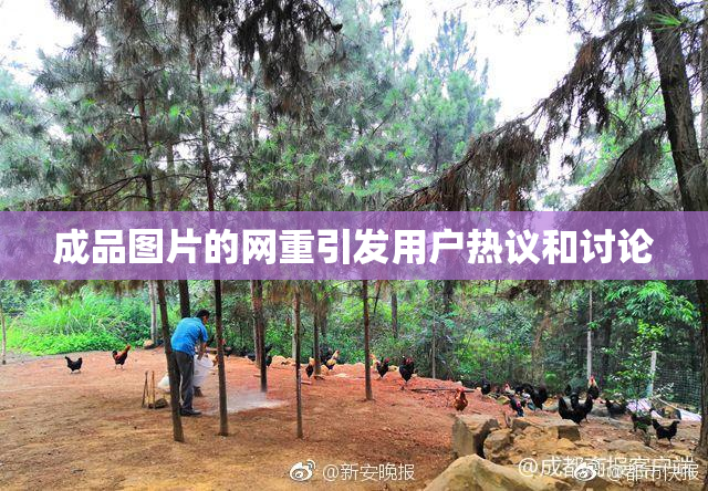 成品图片的网重引发用户热议和讨论