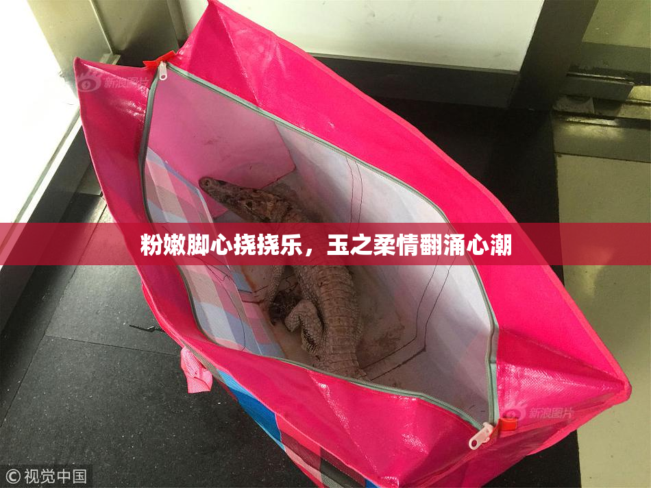 粉嫩脚心挠挠乐，玉之柔情翻涌心潮