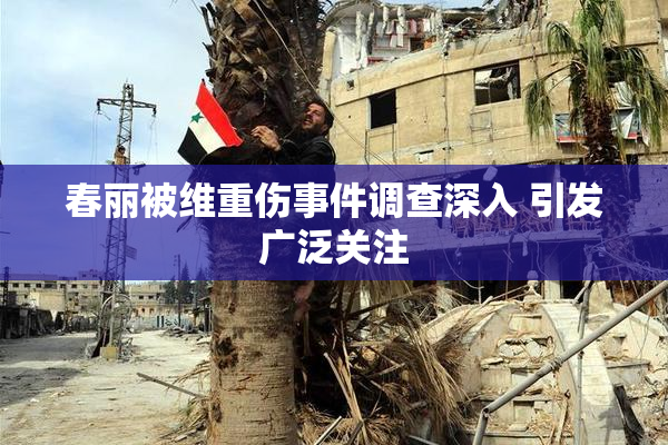 春丽被维重伤事件调查深入 引发广泛关注