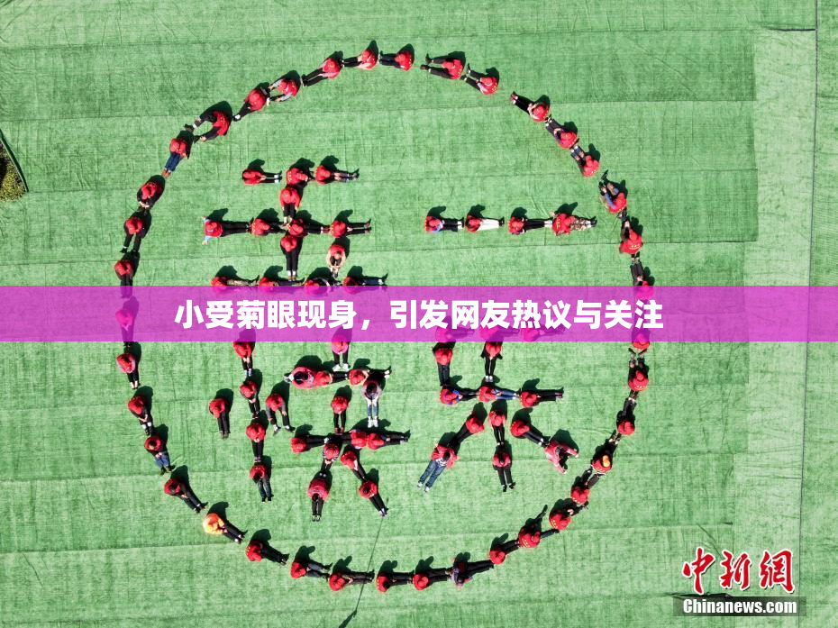 小受菊眼现身，引发网友热议与关注