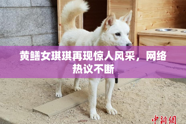 黄鳝女琪琪再现惊人风采，网络热议不断