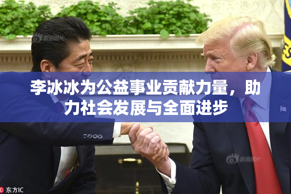 李冰冰为公益事业贡献力量，助力社会发展与全面进步