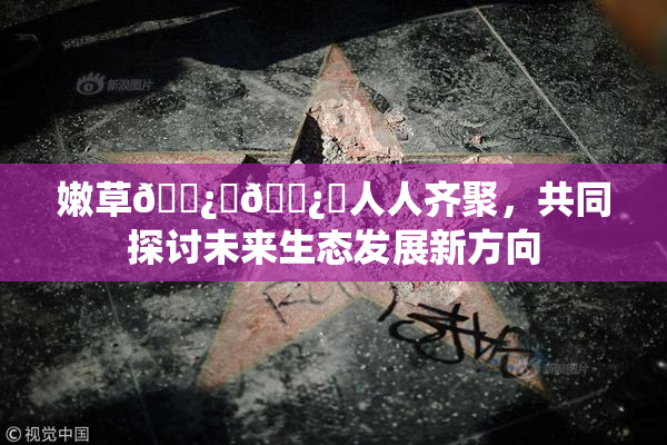 嫩草🌿‌🌿‌人人齐聚，共同探讨未来生态发展新方向