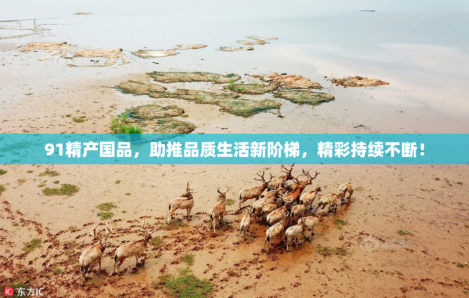 91精产国品，助推品质生活新阶梯，精彩持续不断！