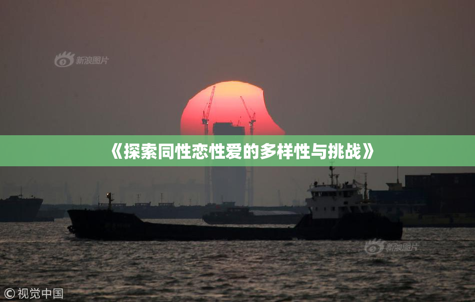 《探索同性恋性爱的多样性与挑战》