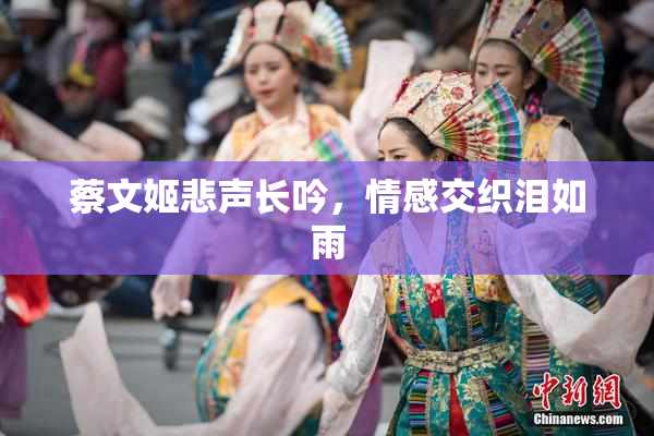 蔡文姬悲声长吟，情感交织泪如雨