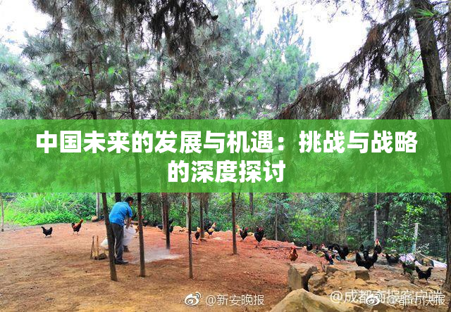 中国未来的发展与机遇：挑战与战略的深度探讨
