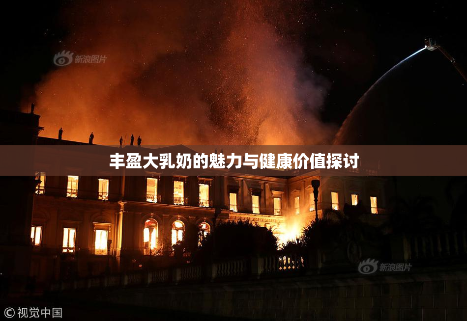 丰盈大乳奶的魅力与健康价值探讨