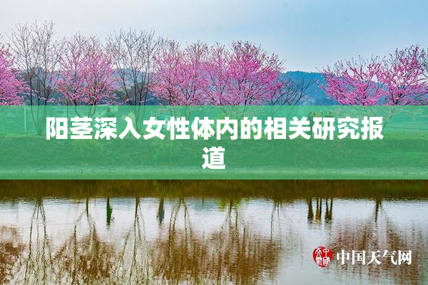阳茎深入女性体内的相关研究报道
