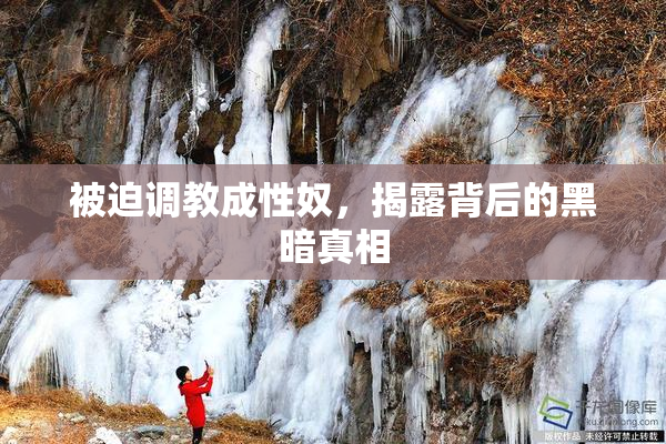 被迫调教成性奴，揭露背后的黑暗真相