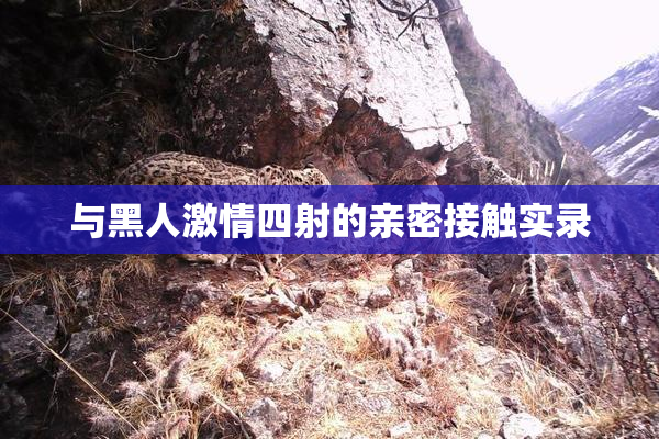 与黑人激情四射的亲密接触实录