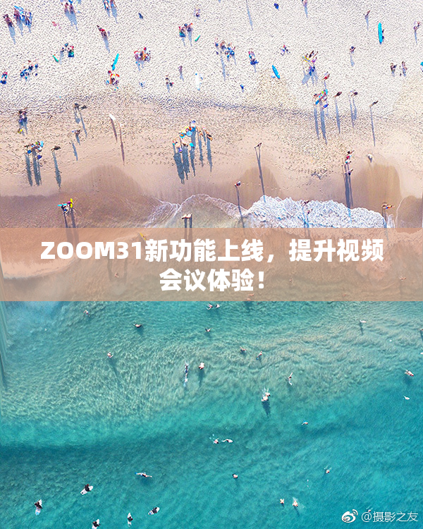 ZOOM31新功能上线，提升视频会议体验！
