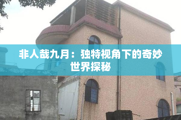 非人哉九月：独特视角下的奇妙世界探秘