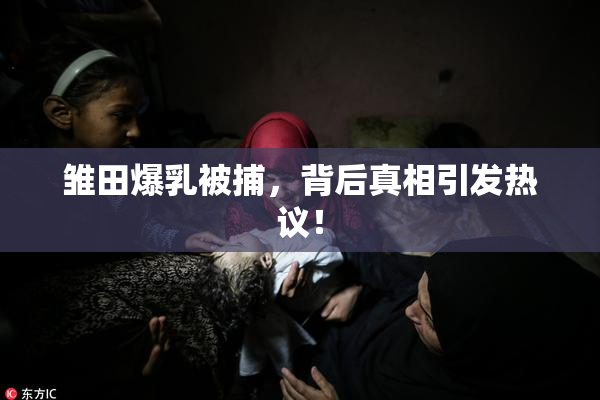 雏田爆乳被捕，背后真相引发热议！