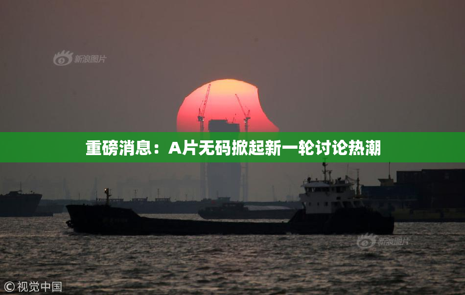 重磅消息：A片无码掀起新一轮讨论热潮