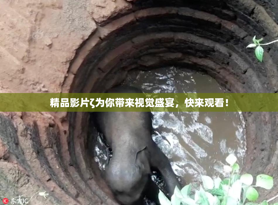 精品影片ζ为你带来视觉盛宴，快来观看！