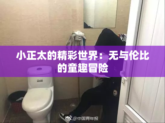 小正太的精彩世界：无与伦比的童趣冒险