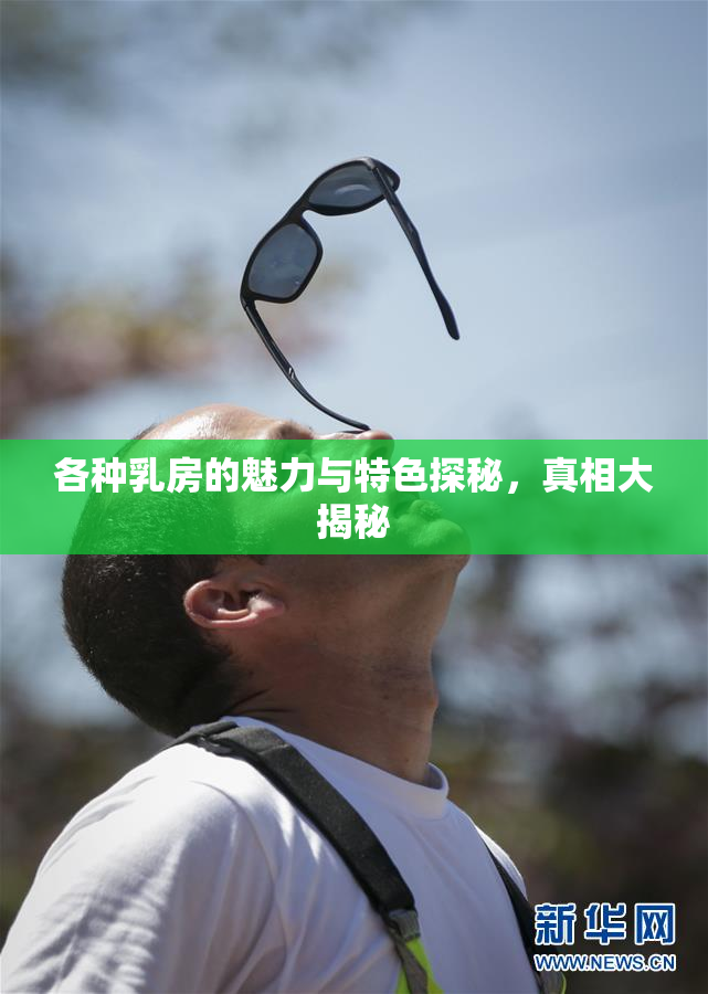 各种乳房的魅力与特色探秘，真相大揭秘