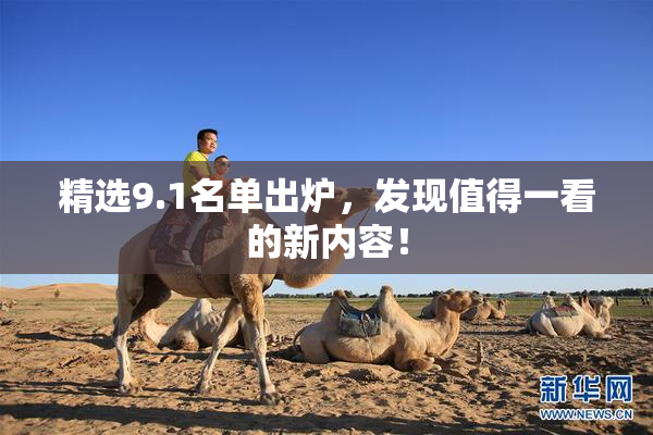 精选9.1名单出炉，发现值得一看的新内容！