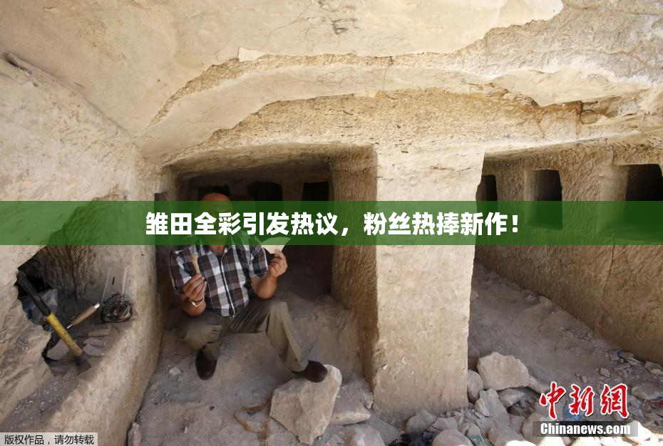 雏田全彩引发热议，粉丝热捧新作！