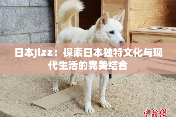 日本Jlzz：探索日本独特文化与现代生活的完美结合