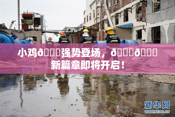小鸡🐔强势登场，🍑🔞新篇章即将开启！