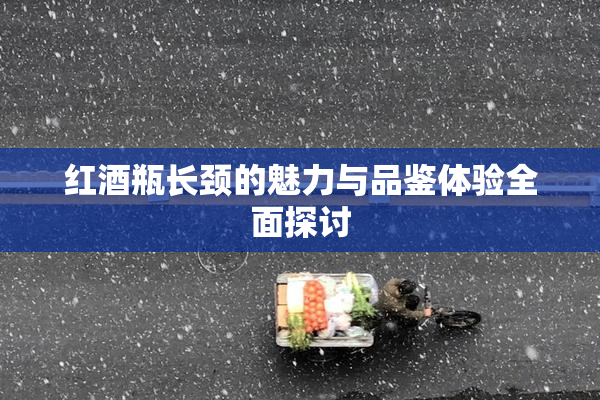 红酒瓶长颈的魅力与品鉴体验全面探讨