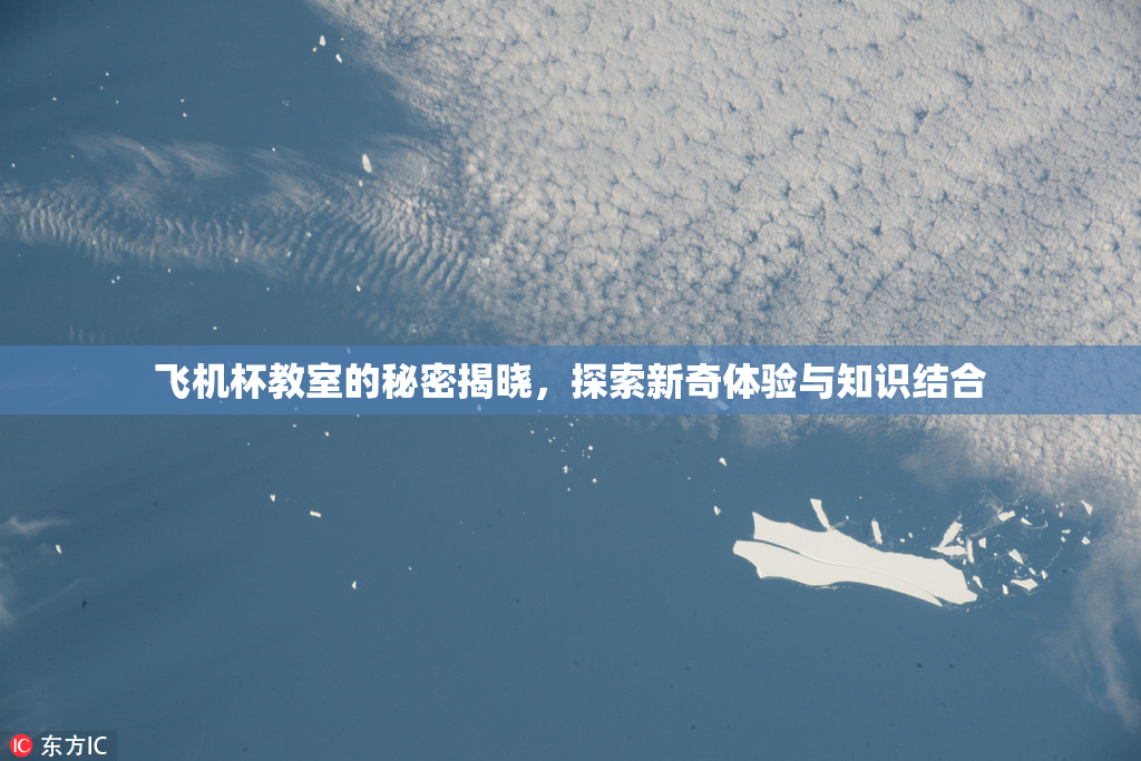 飞机杯教室的秘密揭晓，探索新奇体验与知识结合
