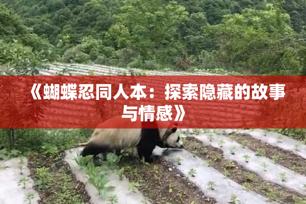 《蝴蝶忍同人本：探索隐藏的故事与情感》