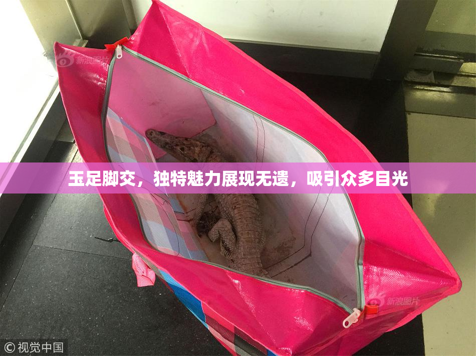 玉足脚交，独特魅力展现无遗，吸引众多目光