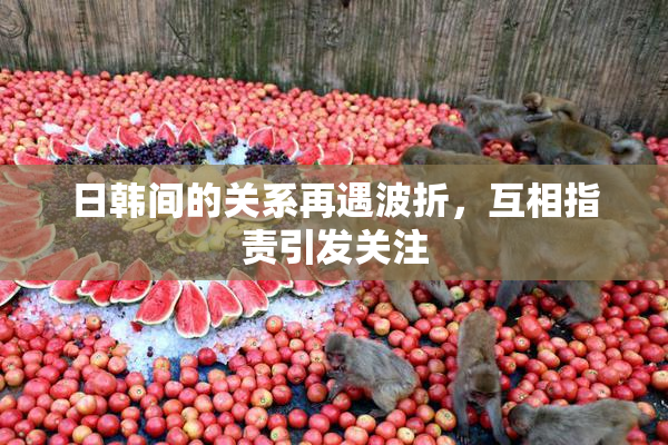 日韩间的关系再遇波折，互相指责引发关注