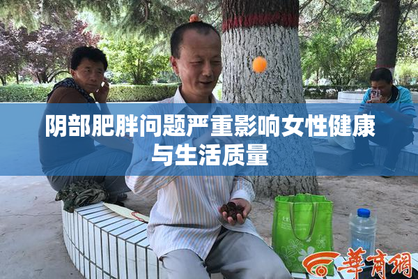 阴部肥胖问题严重影响女性健康与生活质量