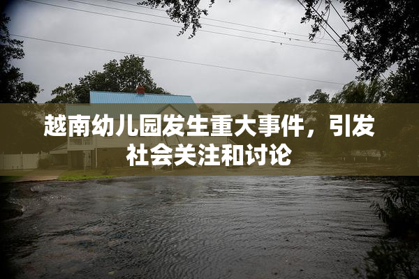 越南幼儿园发生重大事件，引发社会关注和讨论