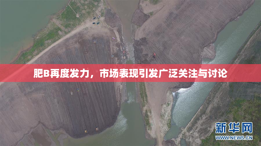 肥B再度发力，市场表现引发广泛关注与讨论