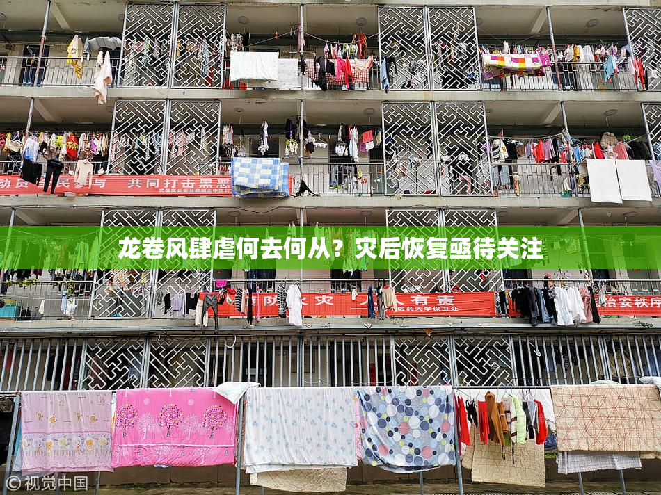 龙卷风肆虐何去何从？灾后恢复亟待关注