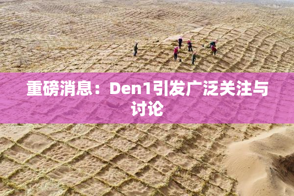 重磅消息：Den1引发广泛关注与讨论