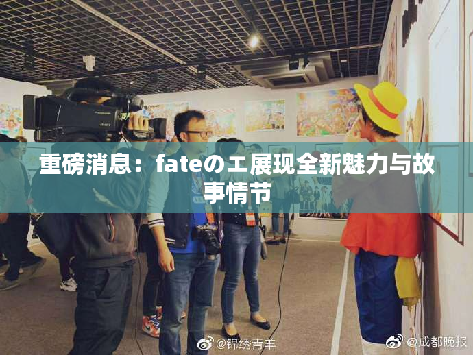 重磅消息：fateのエ展现全新魅力与故事情节
