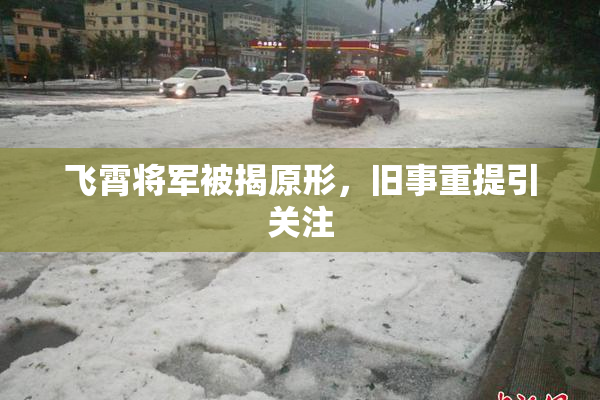 飞霄将军被揭原形，旧事重提引关注
