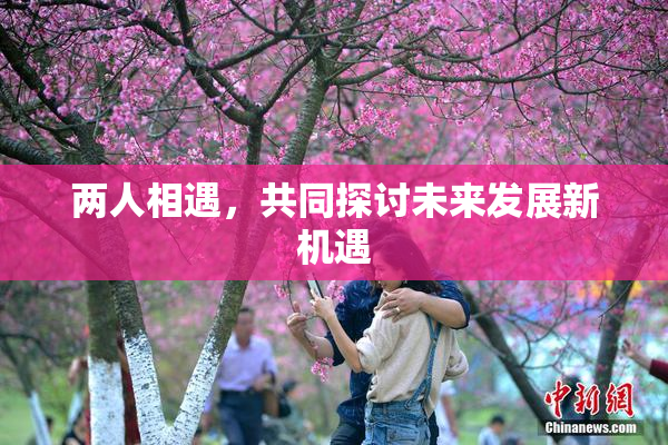 两人相遇，共同探讨未来发展新机遇