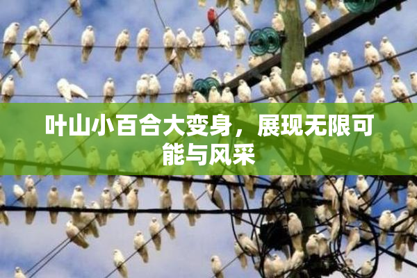 叶山小百合大变身，展现无限可能与风采