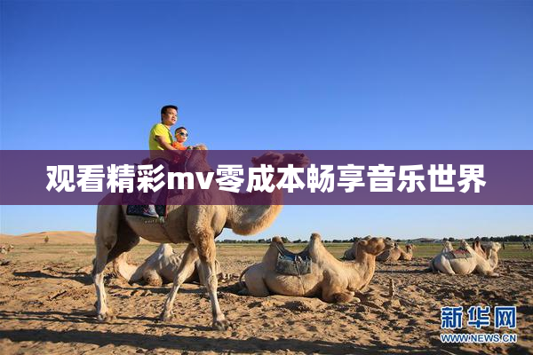 观看精彩mv零成本畅享音乐世界